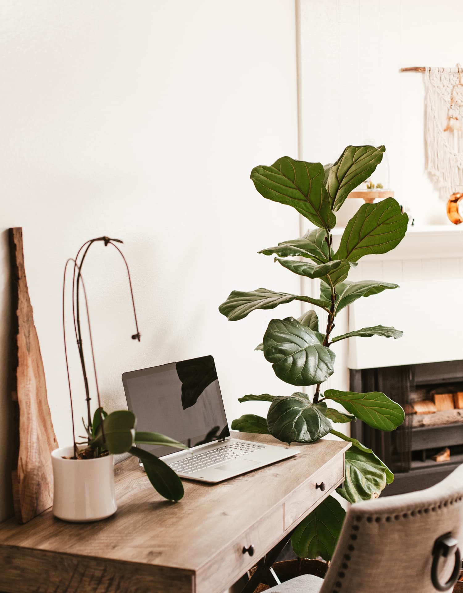 desk with plant desk with plant